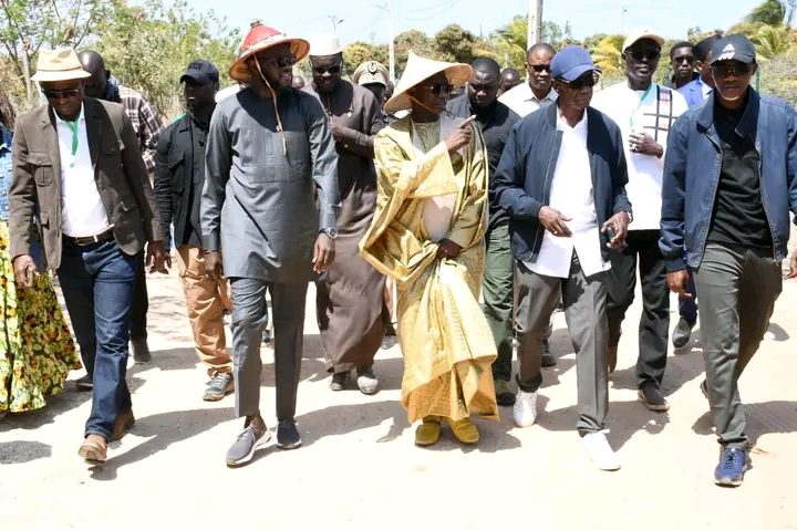 1 250 génisses gestantes pour une révolution laitière et génétique au Sénégal !